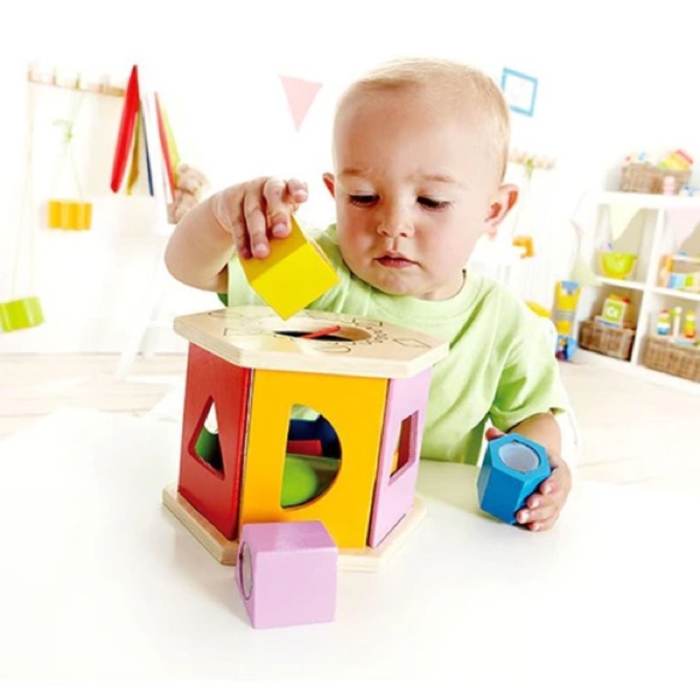 Hape shape sorter toddler shake and match